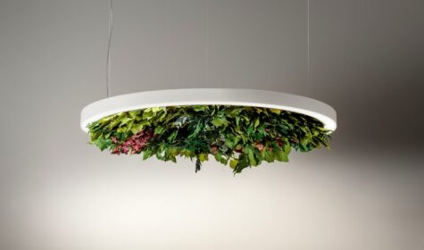 La luz se convierte en jardín